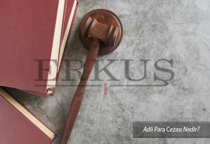 Adli Para Cezası Nedir