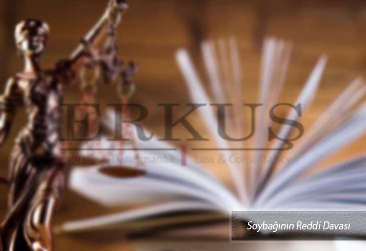 soybağının reddi davası