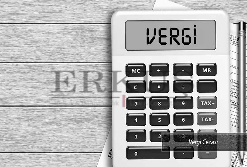Vergi Cezası