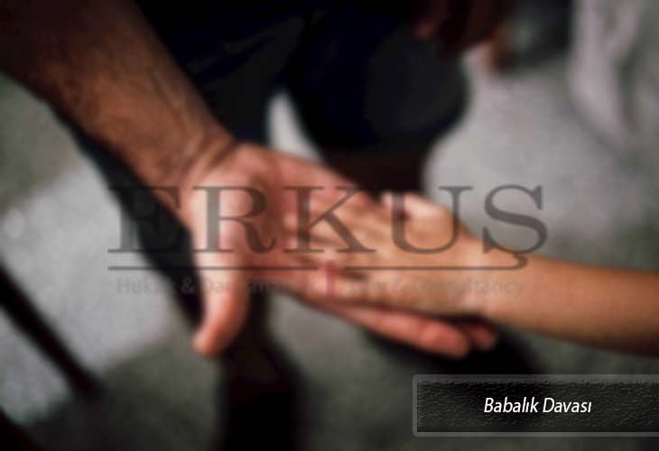babalık davası